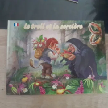 livre le troll et la sorcière