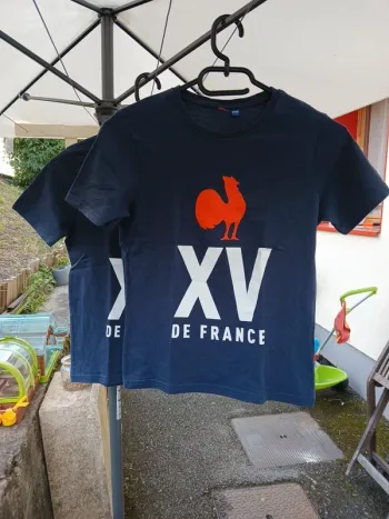 Lot XV de France jumeaux