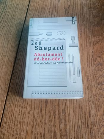 Absolument débordée