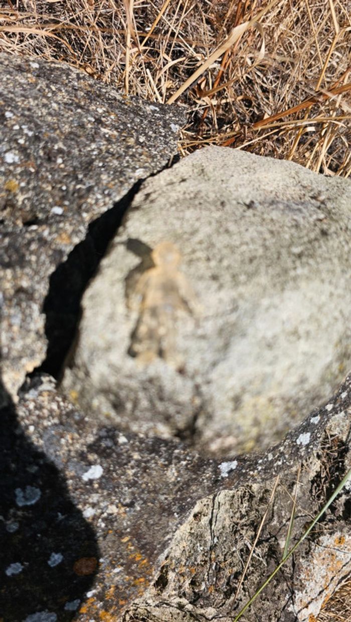 Super petite figurine Pokemon Nintendo sacha transparente - photo numéro 3