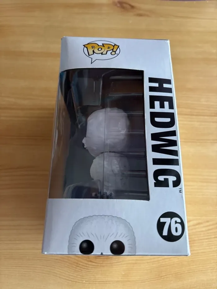 Hedwig pop - photo numéro 2
