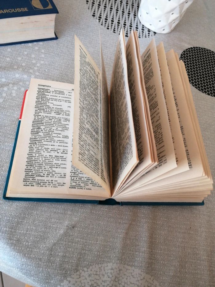 Dictionnaire anglais - photo numéro 2