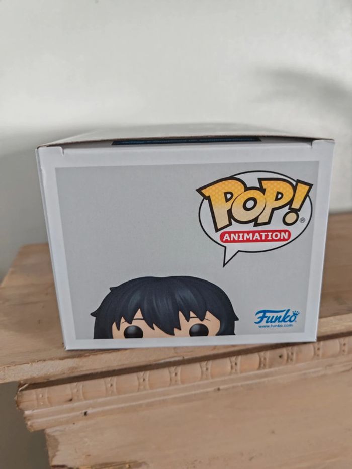 Figurine funko pop sung jinwoo E-rank CCXP 25 - photo numéro 7