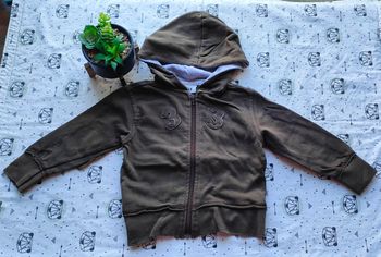 Veste à capuche taille 2/3 ans