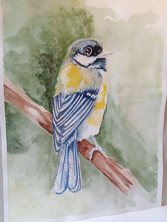 Mésange à l' aquarelle - photo numéro 4