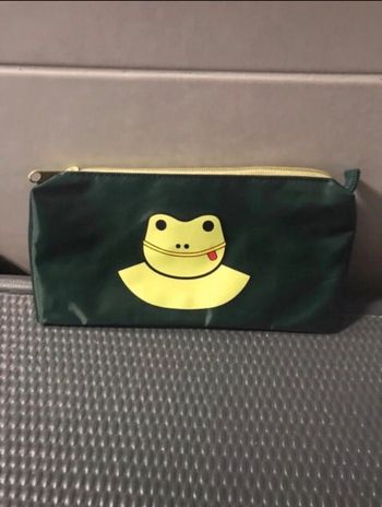 trousse verte motif grenouille excellent état