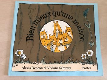 Livre Bien mieux qu'une maison