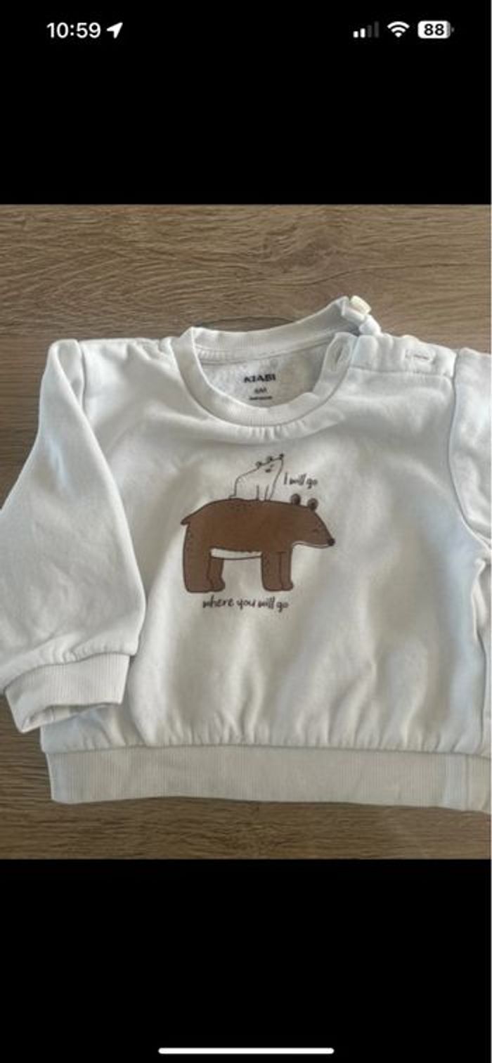 Pull ours - photo numéro 2