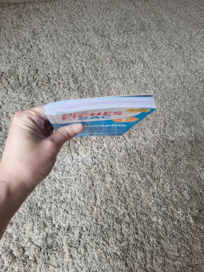 Livre fiche BAC - photo numéro 7