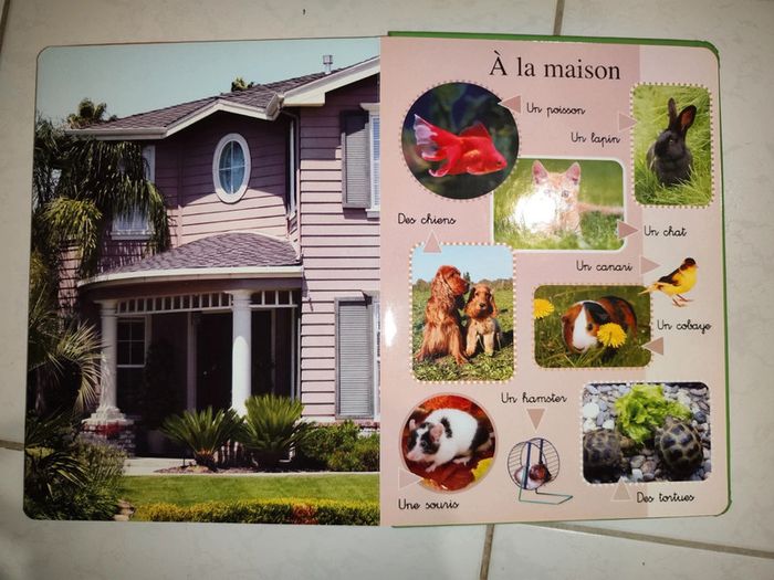 Grand imagier sur la nature - photo numéro 2