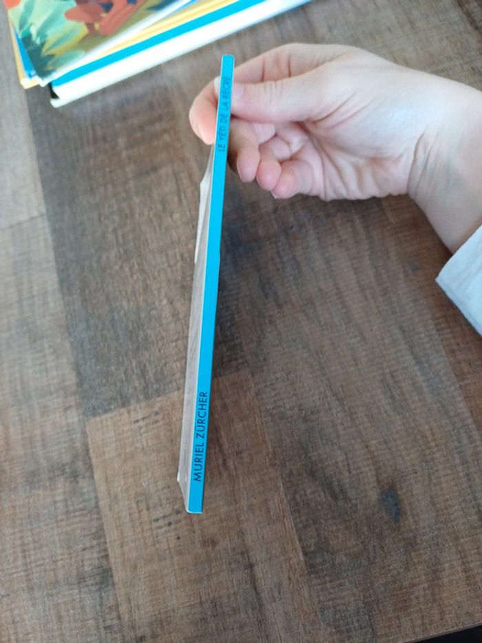 Livre Le yéti de la recrée de Muriel Zürcher - photo numéro 2