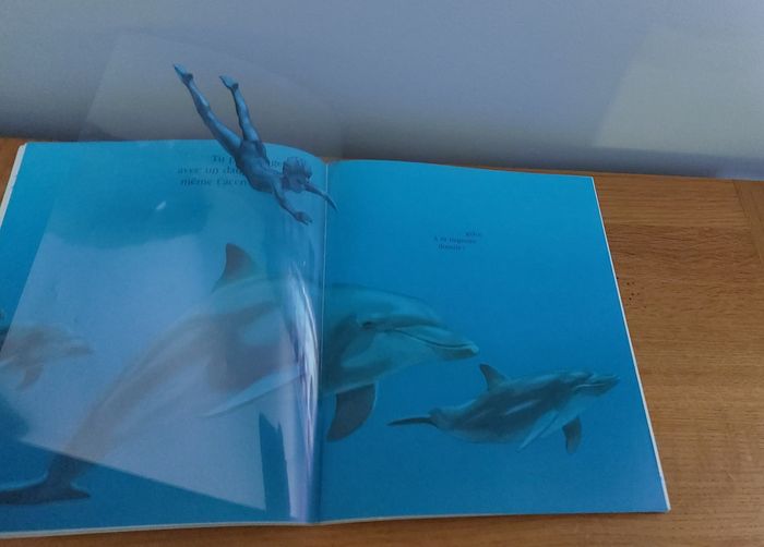 Cache cache avec Le dauphin - photo numéro 5
