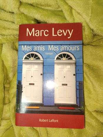 Livre mes amis mes amours Marc Lévy