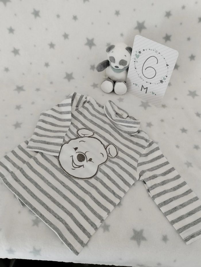 Duo de Winnie pour l'automne - photo numéro 6