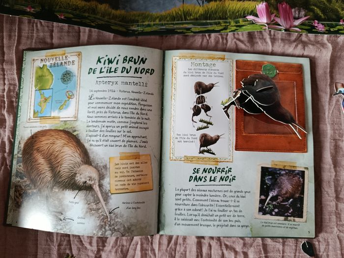 Livre sur les oiseaux exotiques - photo numéro 9