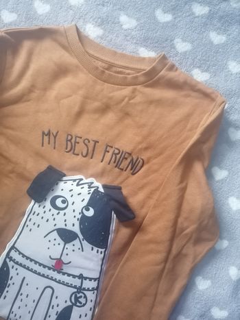 Pull sweat-shirt 🐶 mixte 12 ans