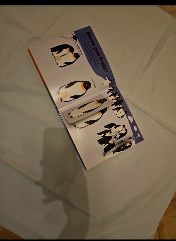 Les Bébés Animaux - photo numéro 5