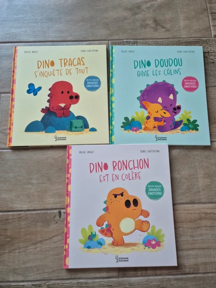 Lot de 3 livres petits soucis grandes emotions Rachel Bright