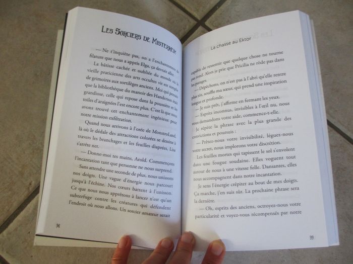 Roman enfant Les Sorciers de Misterheim - photo numéro 4