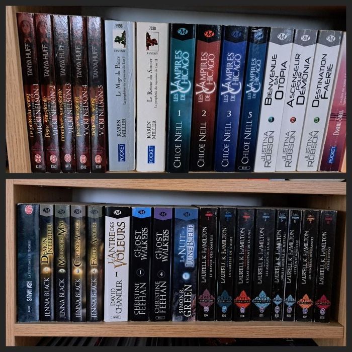 Livres Vampire / Fantastique 🧛♀️