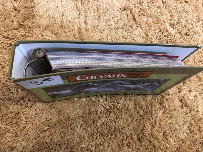 Classeur avec fiches chevaux - photo numéro 2