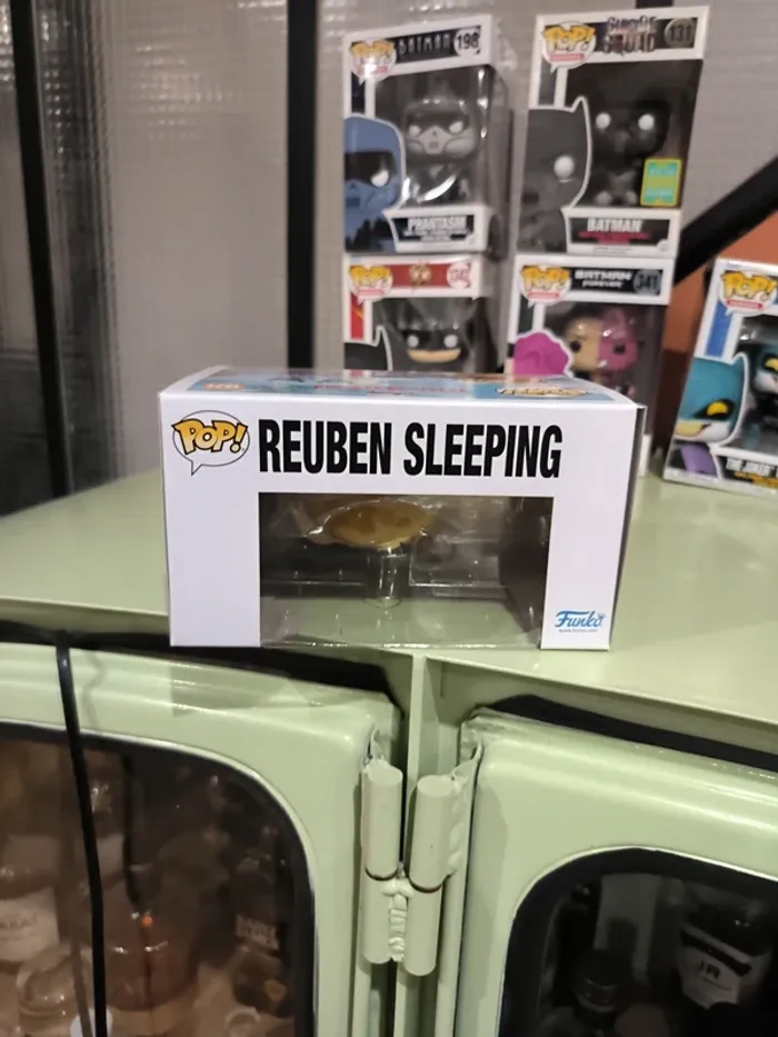 Pop Reuben sleeping 1571 - photo numéro 6
