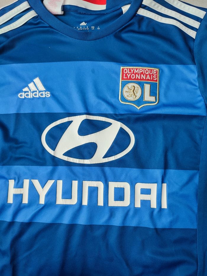 Ensemble olympique lyonnais 2016 2017 - photo numéro 8