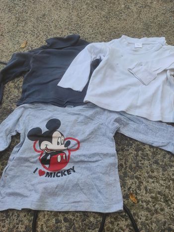 Lot 3 tee shirts manches longues 2 ans