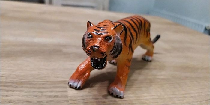 Tigre - photo numéro 2