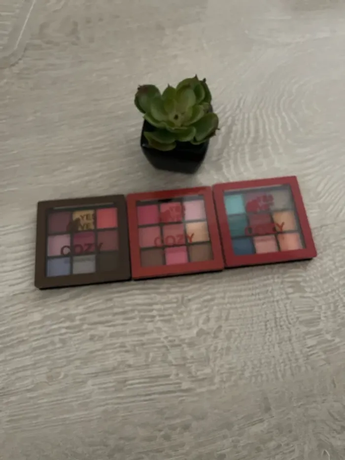 Lot de 3 palette pour les yeux