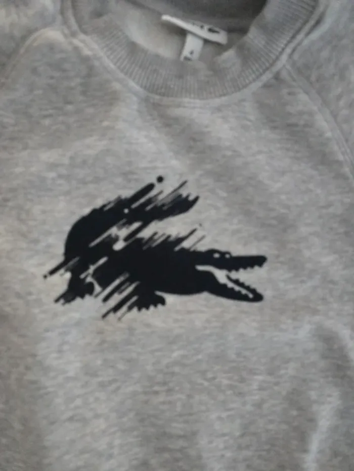 Sweat gris Lacoste - photo numéro 2