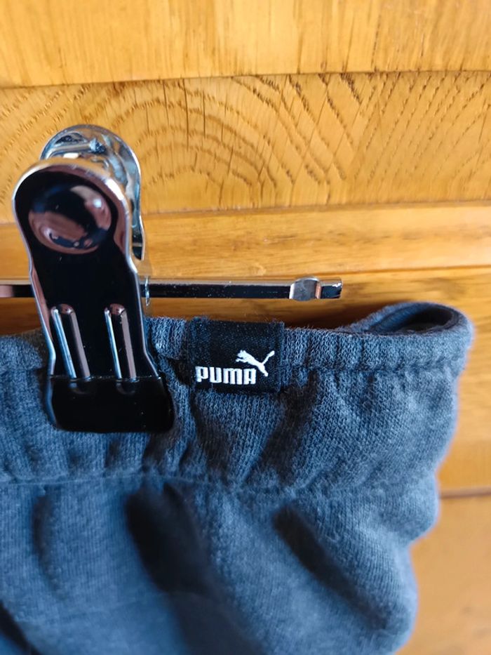 Jogging puma - photo numéro 4