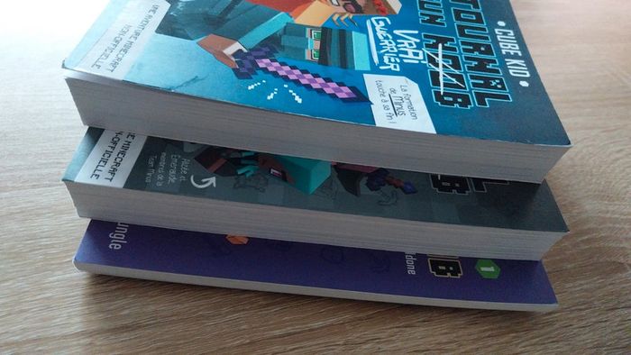 Livres minecraft - photo numéro 3
