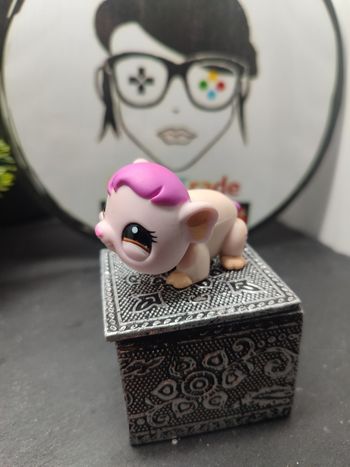Lps01282 My Littlest Petshop Pet Shop LPS  Guinea pig Cochon D'inde 1406