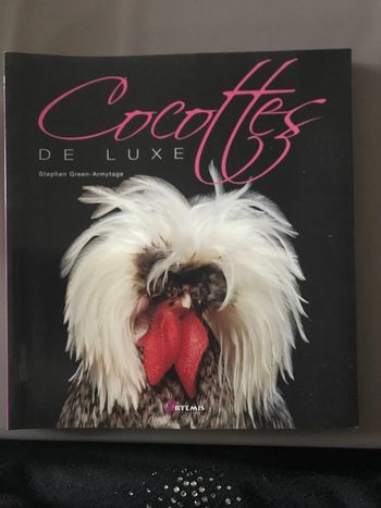Livre Cocottes de luxe