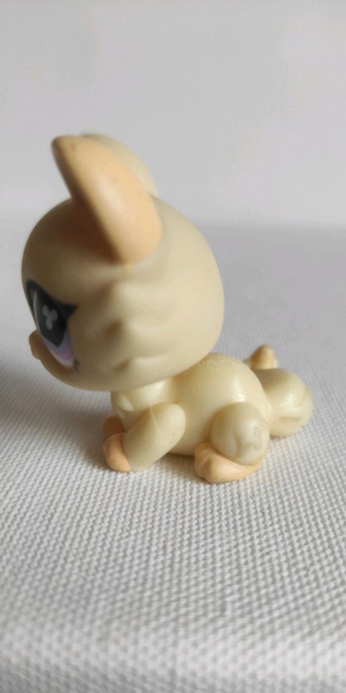 My littlest petshop chat sphynx 848 - photo numéro 5