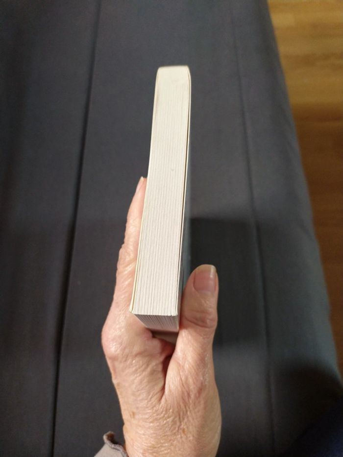 Le Grand Secret de Claude Gubler et Michel Gonod - photo numéro 5