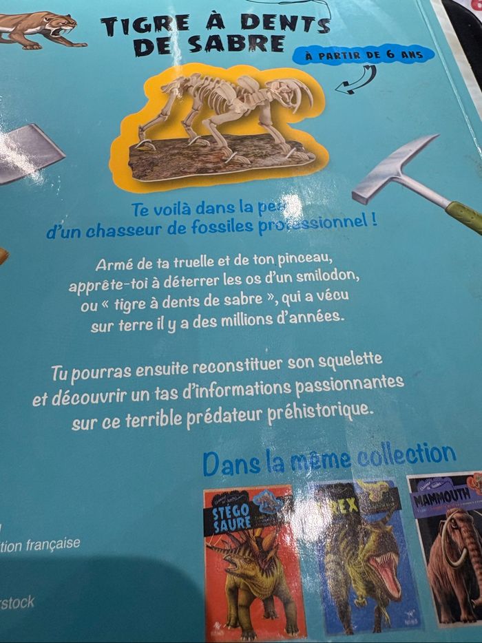 Tigre à dents de sable - photo numéro 5