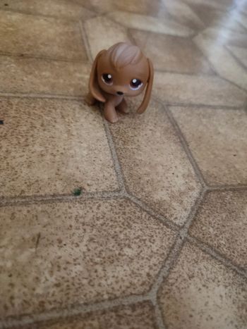 Figurines petshop