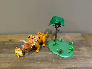 Lot dinosaures playmobil tricératops 