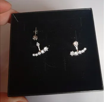 Boucles d'oreilles acier inoxydable argenté
