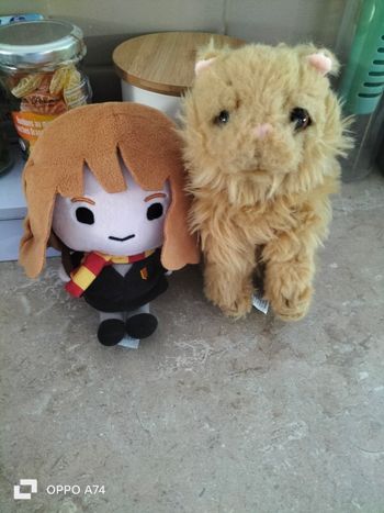 Harry Potter 🖤 Lot peluches Hermione et son chat