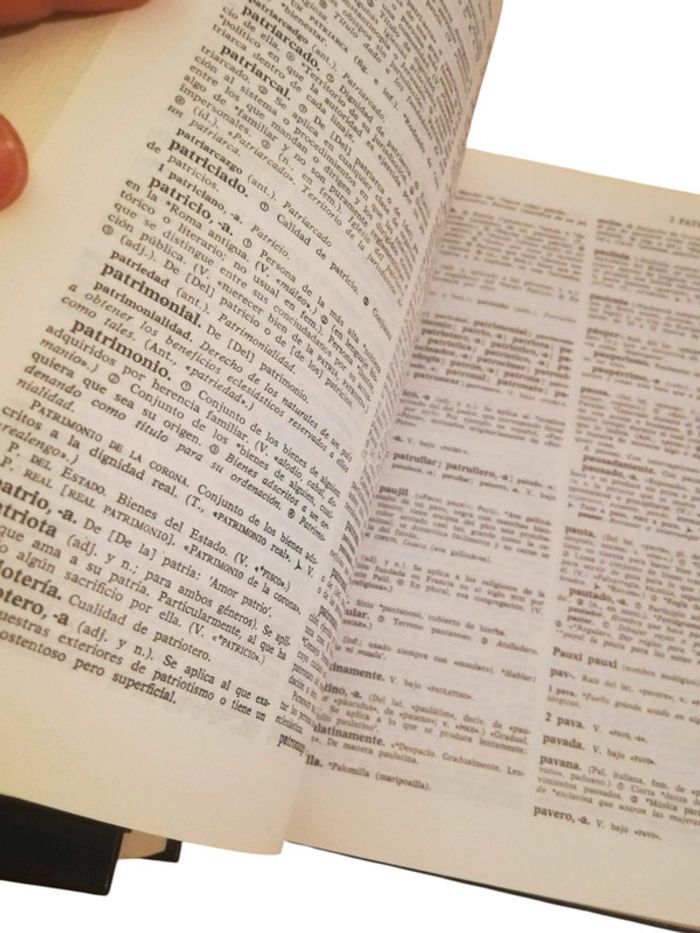 Dictionnaire unilingue espagnol en deux volumes - photo numéro 7