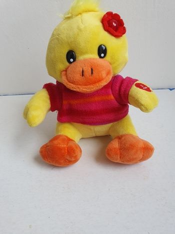 Canard sonore