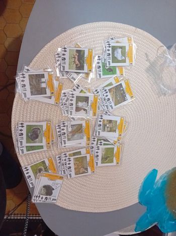 Jeu de 11 familles sur es animaux de la ferme