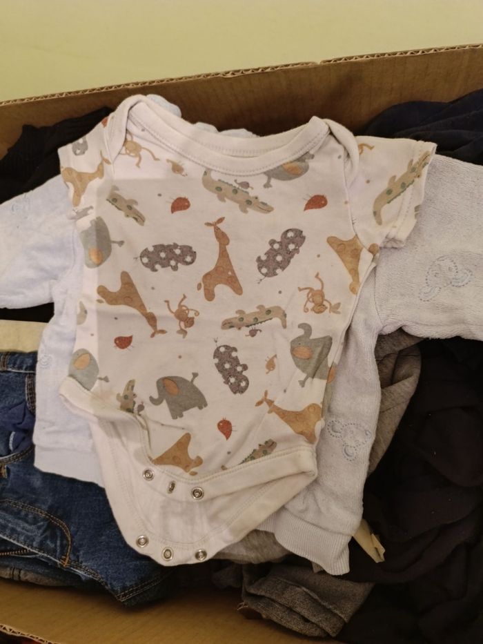 Lot de bodies - photo numéro 3