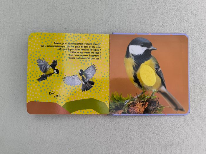 Livre à toucher Mes animaux câlins - photo numéro 6