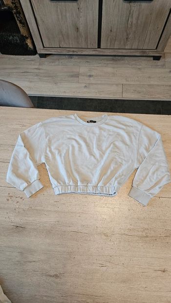 Sweat court gris bleu, à manches longues, Zara,  taille 38/40