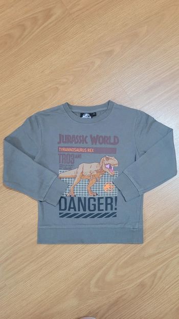 Pull garçon 👦 6A Jurassic World