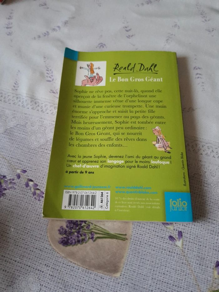 Le bon gros géant - photo numéro 2